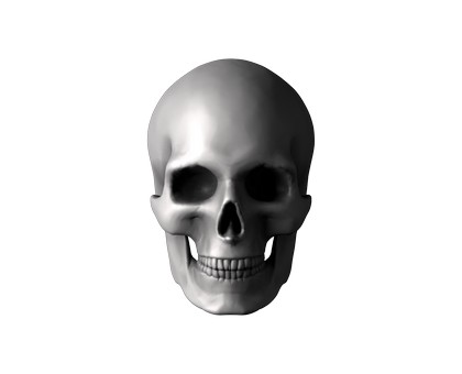 Череп, 3d модель для ЧПУ