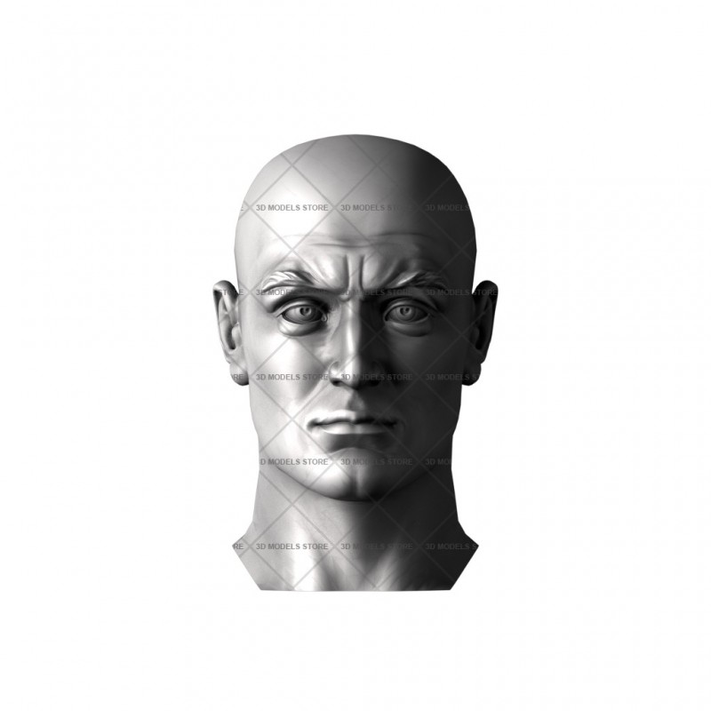 Голова человека, 3d модель для ЧПУ