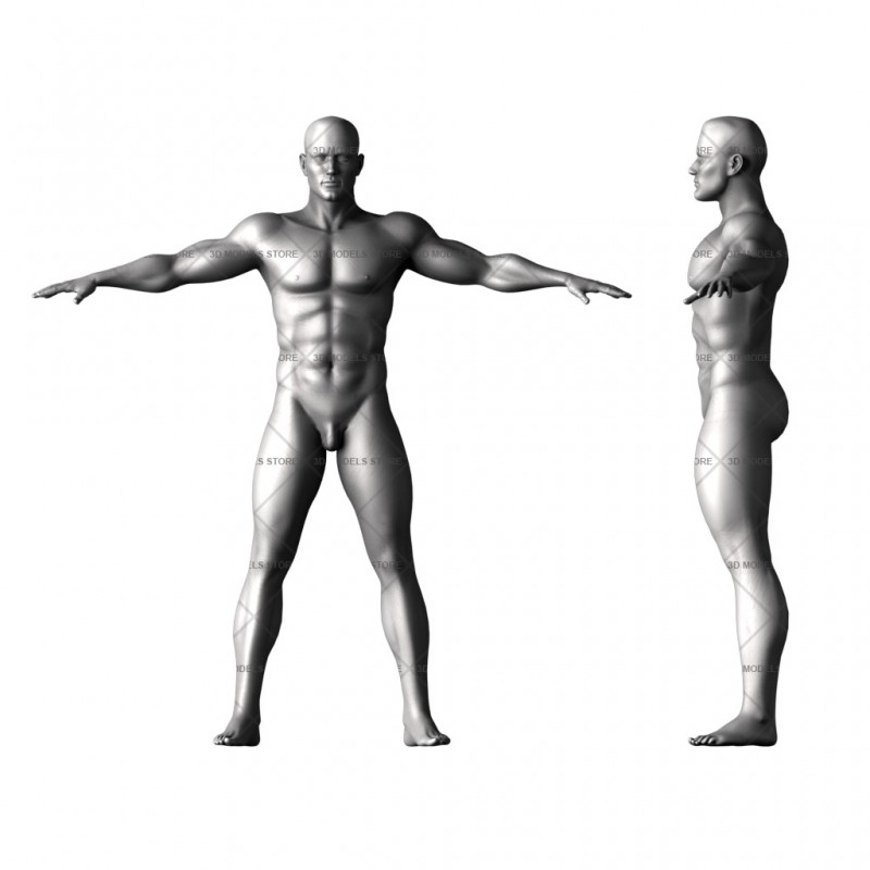 Тело мужчины, 3d модель для ЧПУ