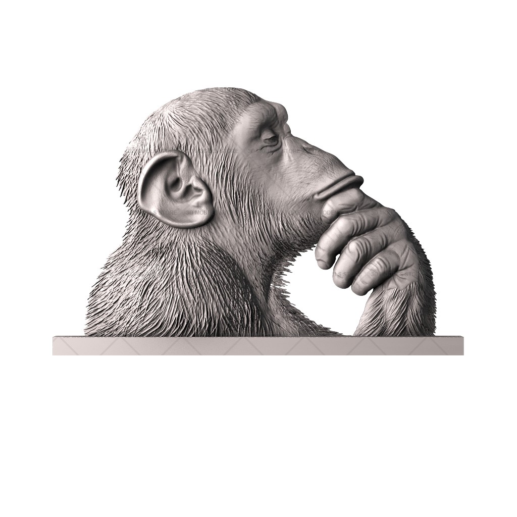 Панно с обезьяной, 3d модель для ЧПУ