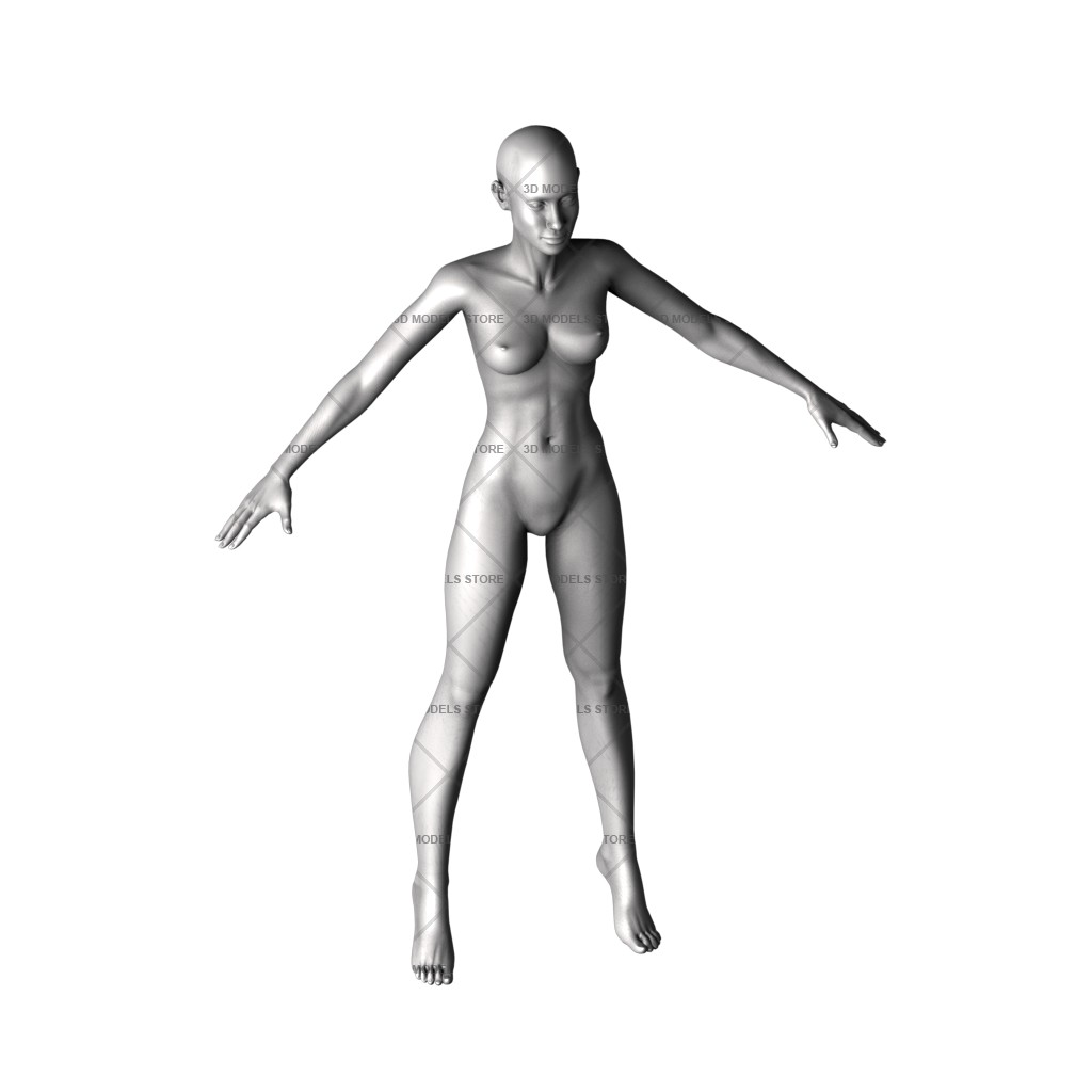 Тело женщины, 3d модель для ЧПУ